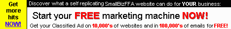 Smallbizffa